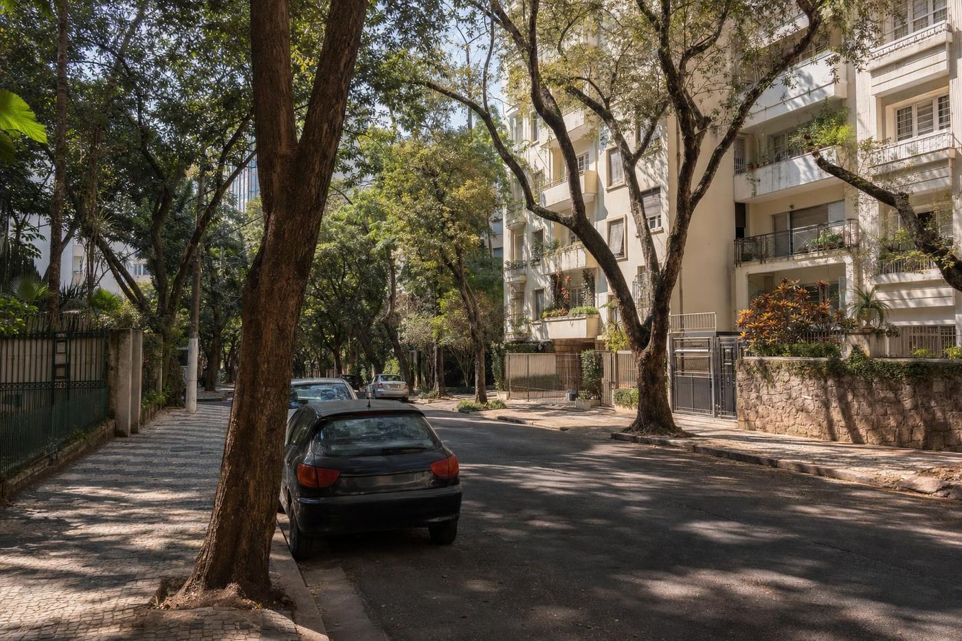 Rua arborizada de prédios residenciais na Vila Mariana, em São Paulo